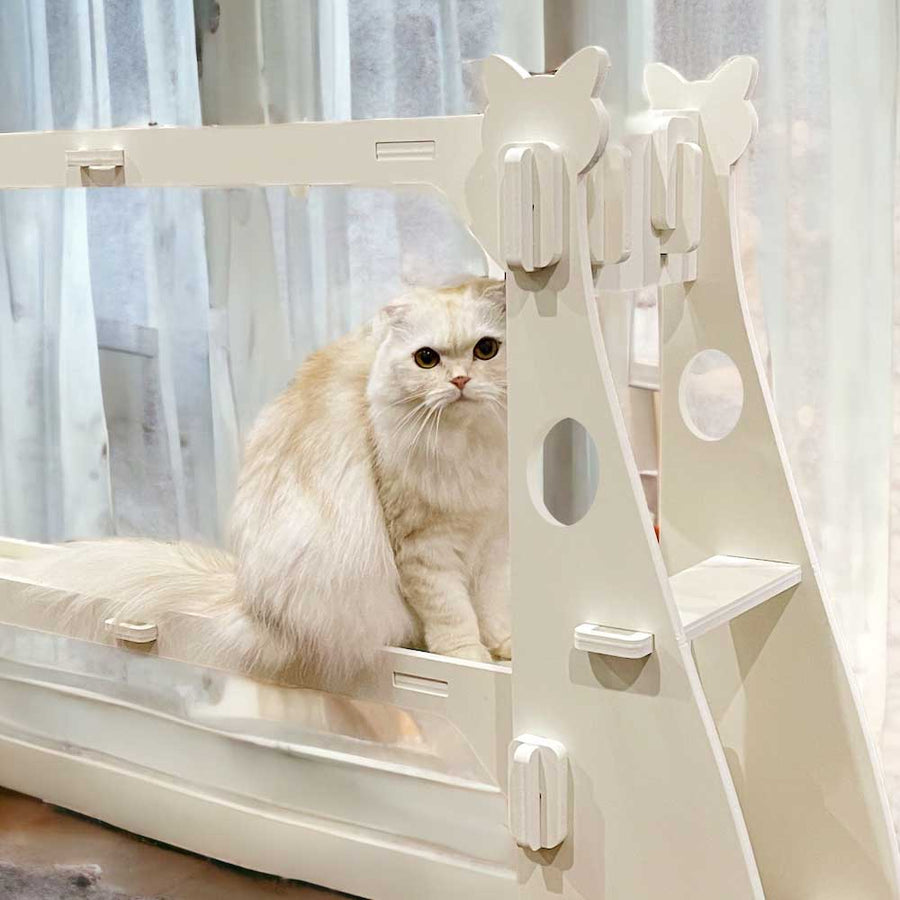 【キャットブリッジ】猫家具 水洗いできる猫のお城 橋型キャットウォーク キャットファニチャーシリーズ ビス不要 簡単組立 室内用