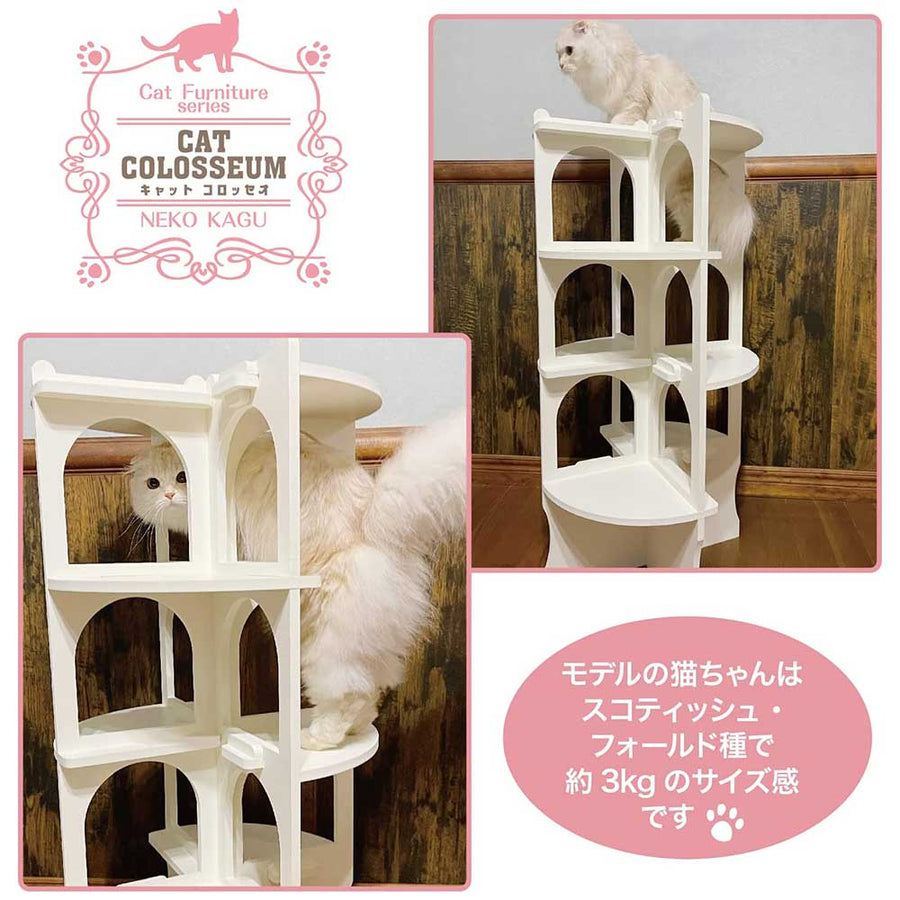 【キャットコロッセオ】猫家具 水洗いできる猫のお城 螺旋階段型キャットタワー キャットファニチャーシリーズ ビス不要 簡単組立 室内用